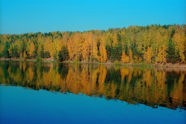 Sonbahar orman yansıma