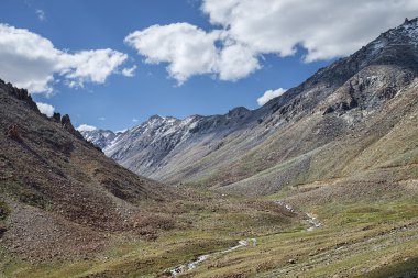Doğal yeşil vadide akan nehir dağ