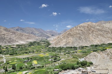 Himalaya vadi yeşil vaha köyde