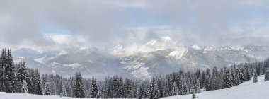 Kış Alp panorama firs orman kar yağışı ile