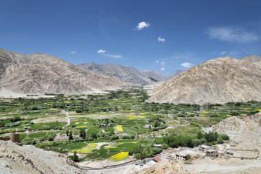 Yemyeşil yeşil alanlar çöl dağlar arasında