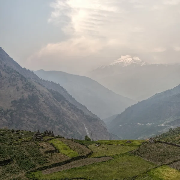 Rýžová pole v Himalayam horách — Stock fotografie