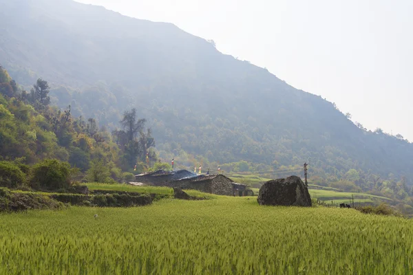 Górskiej miejscowości i zielone pole w Nepalu highlands — Zdjęcie stockowe