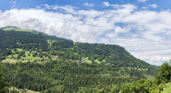 Zomer Alpen Panorama — Stockfoto