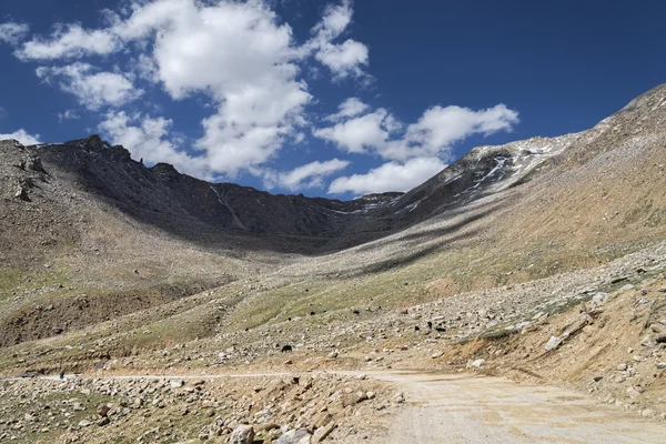 Schotterbergstraße biegt mit Yaks daneben — Stockfoto