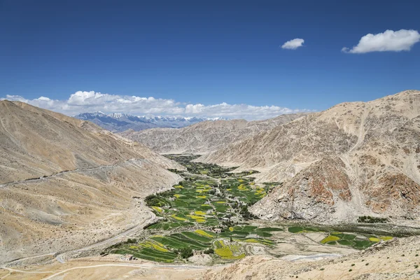 Campi verdi tra montagne desertiche — Foto Stock