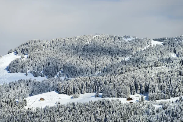 Alpine village winter view — Stock Photo, Image