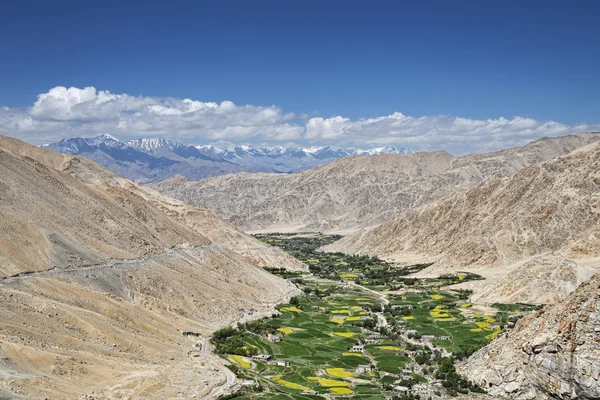 Verde valle lussureggiante tra le montagne del deserto — Foto Stock