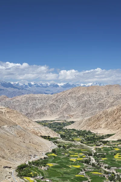 Vista verde sulla valle con alte montagne sullo sfondo — Foto Stock