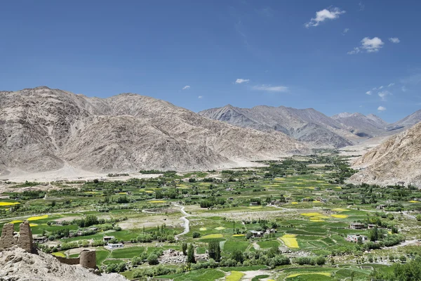 Village d'oasis verte dans les montagnes du désert — Photo