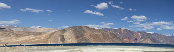 Himalaya Pangong panorama du lac — Photo
