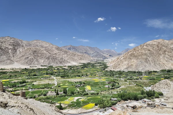 Oasi verde villaggio tra le montagne vista — Foto Stock