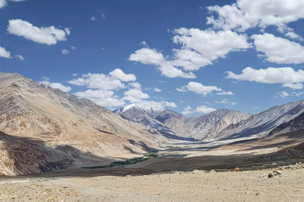 Petit village oasis de verdure le long de la rivière dans les montagnes désertiques du Ladakh — Photo