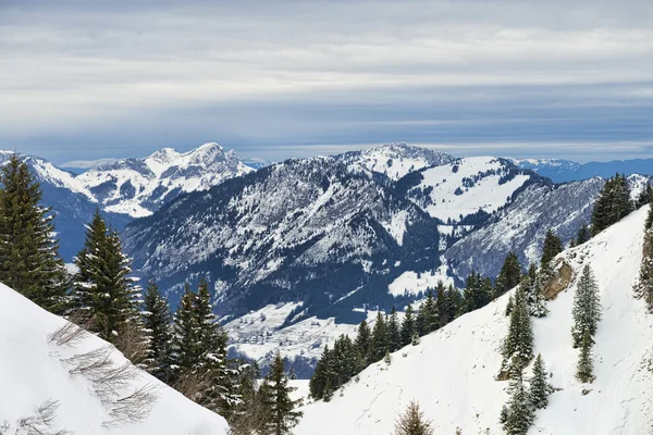 Winter Alpine landscape framed by firs forest slopes — Stock Photo, Image