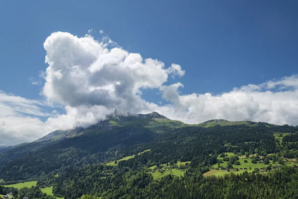 Schilderachtige alpine landschap met bergen bos en huizen — Stockfoto