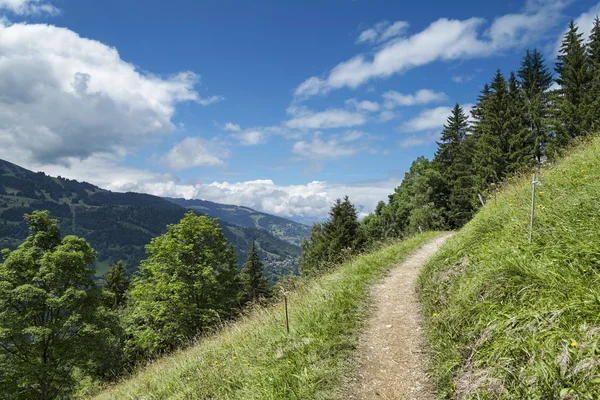 Route in groen alpine bos wandelen — Stockfoto