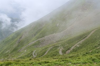 Sarma yürüyüş yolu yeşil yamaç