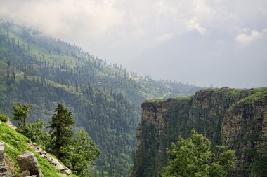 Yeşil orman dağlarında