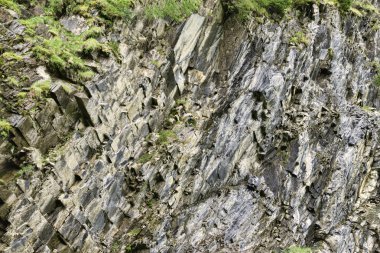 Taş duvar yakın çekim