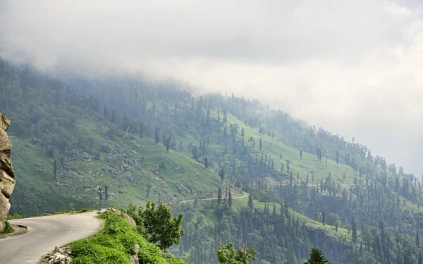 Bord de la route de montagne de l'Himalaya — Photo