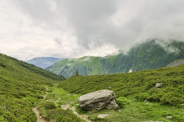 Hiking path among green alpine valley — Stock Photo, Image