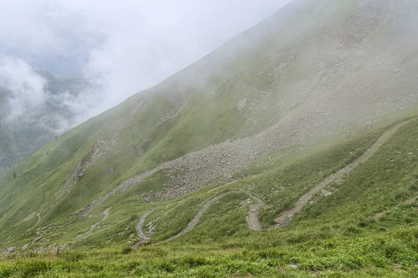 对边坡绿化的绕组徒步旅行路线。 — 图库照片