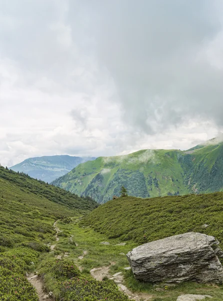 Alpská turistická cesta v zeleném údolí — Stock fotografie