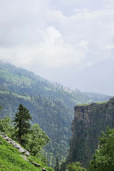 Cliff üzerinde ağaç — Stok fotoğraf