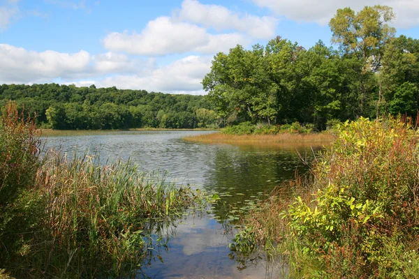 Sjön i Kanada — Stockfoto