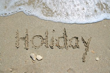 seashell ile kumlu plaj