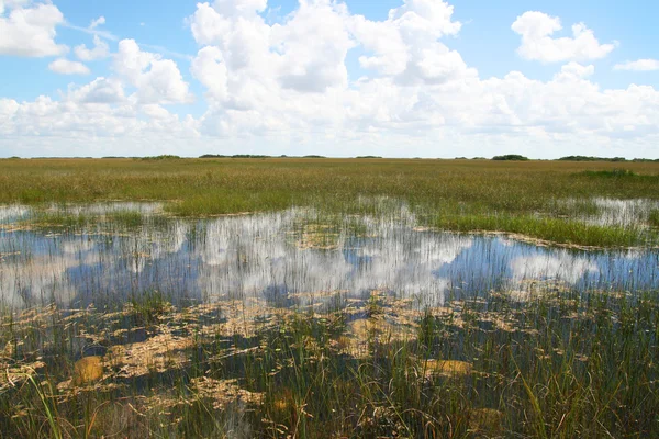 Everglades Nationalpark