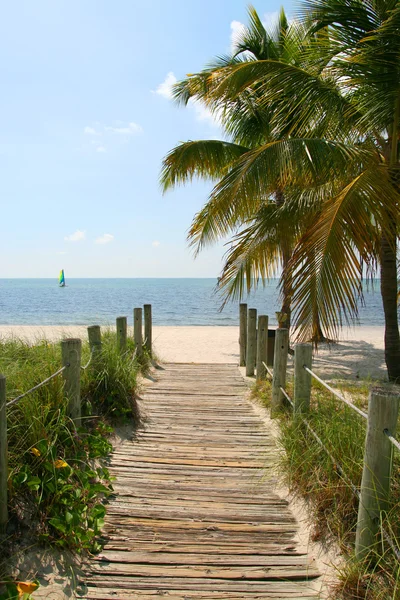 Sahile giden köprü.