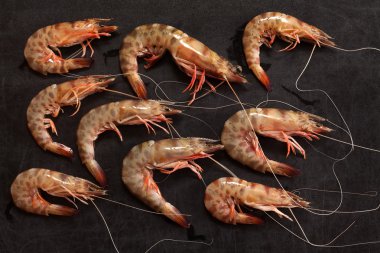Çiğ karides kavramı
