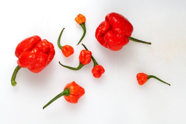 Kırmızı Pul Biber