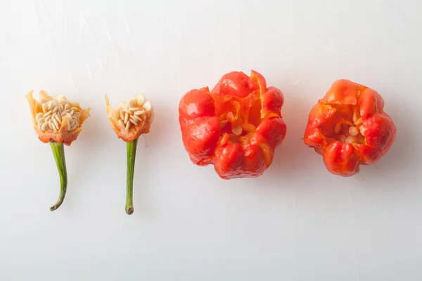 Chili peppar på vit — Stockfoto