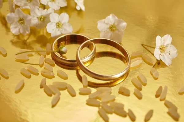 Fotó esküvői Jegygyűrűk — Stock Fotó
