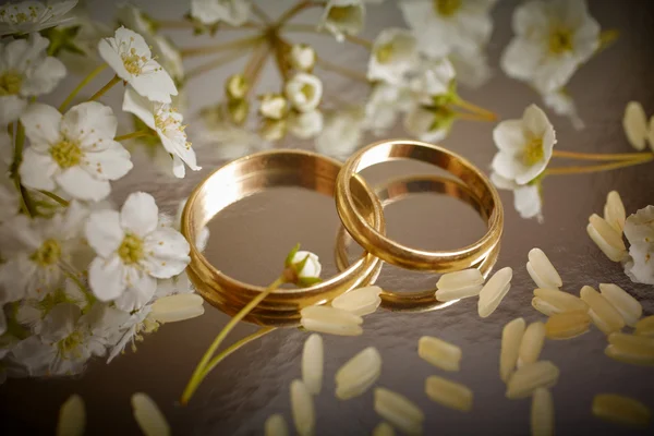 Concepto de anillos de boda —  Fotos de Stock