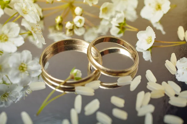 Concepto de anillos de boda —  Fotos de Stock