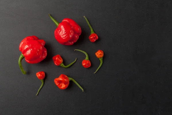 Red chili peppers — Stock Photo, Image