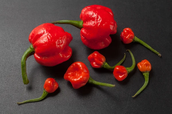 Red chili peppers — Stock Photo, Image