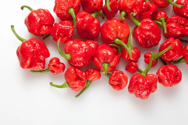 Trinidad moruga scorpion paprika — Stockfoto