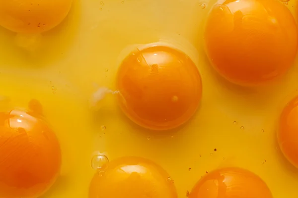 卵の黄身をクローズ アップ — ストック写真