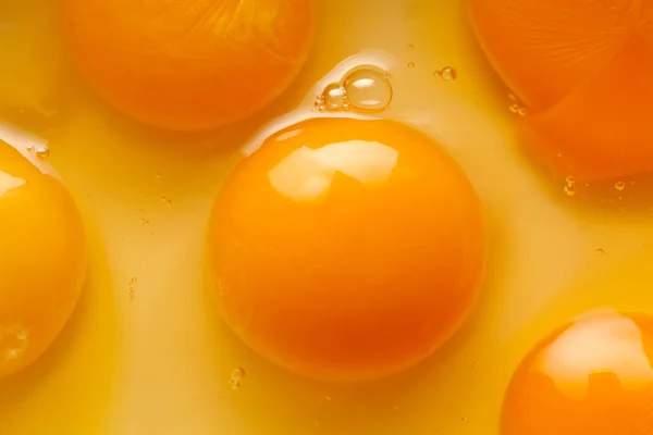 卵の黄身をクローズ アップ — ストック写真