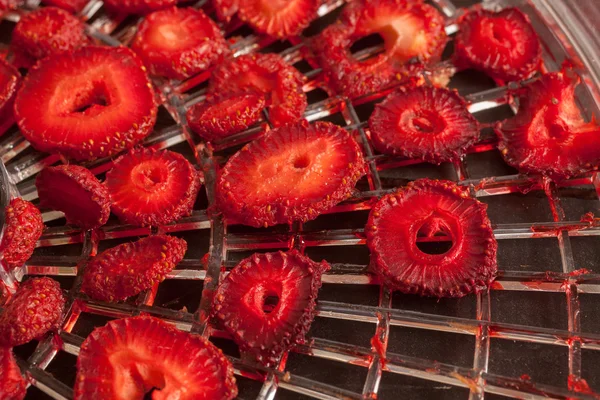 草莓和干燥机的概念 图库照片