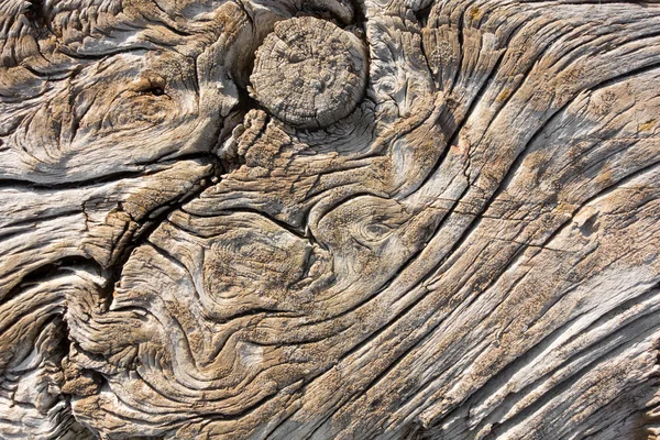 Grained wood — Stock Photo, Image