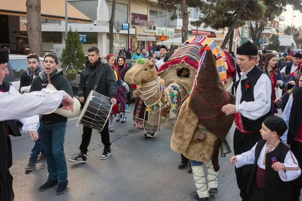 Revival of the custom of camel — Stock Photo, Image