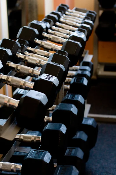 Dumbells eğitim kulübü, rafta