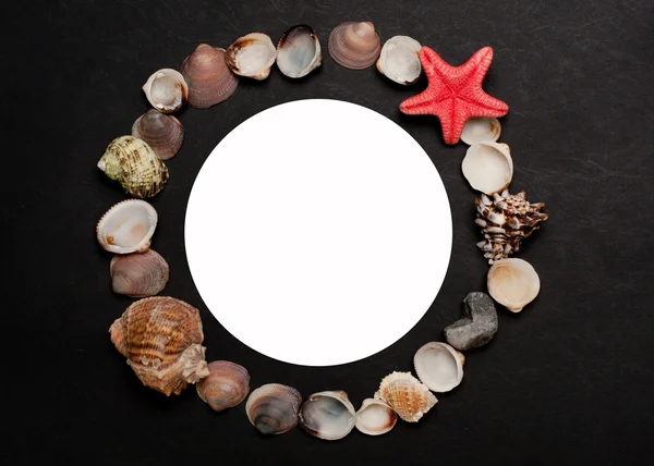 The frame of shells on sea theme with white circle in the middle — Stock Photo, Image