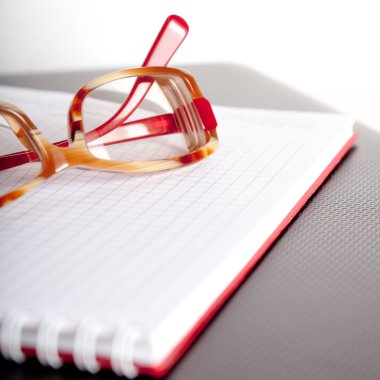 Gözlükler ve bir jotter