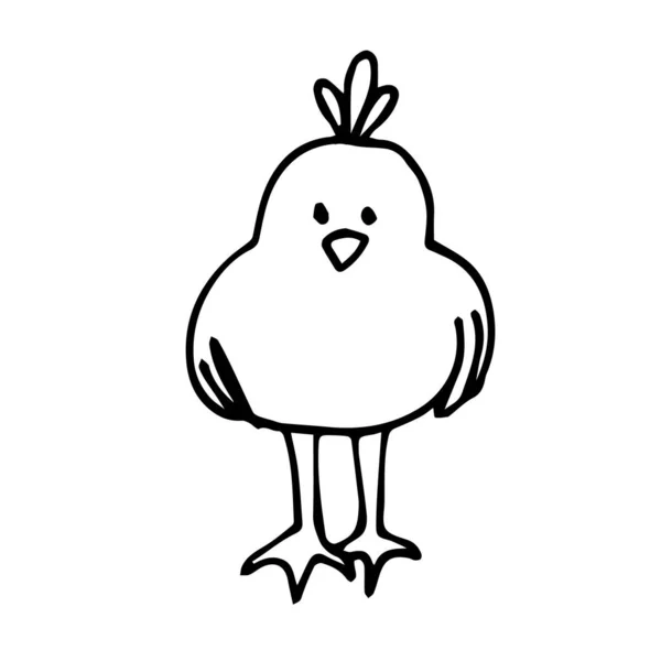 Pájaro Doodle Aislado Sobre Fondo Blanco Ave Vectorial Puede Utilizar — Vector de stock